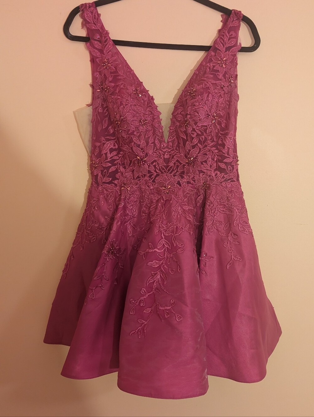 ellie wilde Fuchsia V-Neck Embroidered Mini Dress